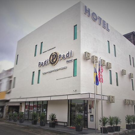 Padi Padi Hotel Кангар Экстерьер фото
